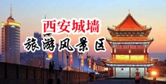 搞鸡情网站www入口中国陕西-西安城墙旅游风景区